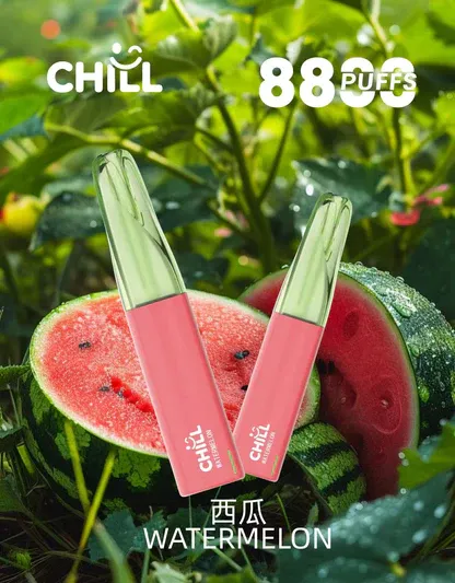 001-01.webp CHILL 鴨嘴獸8800口拋棄式電子煙 續航怪獸隨身備用設備 550mAh電量 3%高滿足 台灣現貨