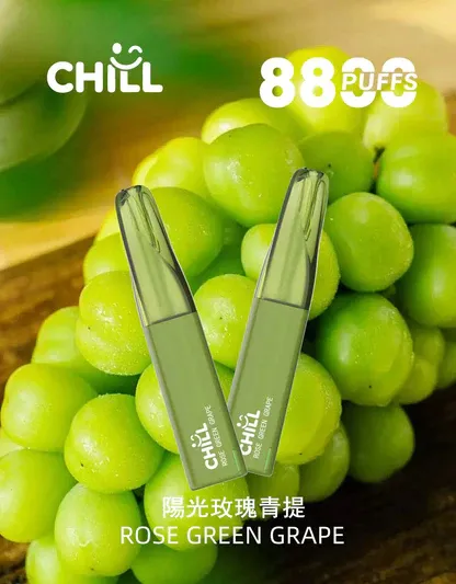 001-06.webp CHILL 鴨嘴獸8800口拋棄式電子煙 續航怪獸隨身備用設備 550mAh電量 3%高滿足 台灣現貨
