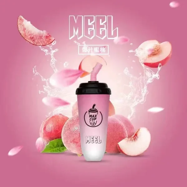 MEEL 奶茶杯 6000口大容量拋棄式電子煙  600mAh長效電力與智慧Type-C快充 3%順滑濃度