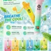 I.G夏威夷鼻通產品規格-鼻吸薄荷棒-6-scaled-1.webp I.G 夏威夷1000口鼻通鼻吸薄荷棒 1000口氣流續航 6款清新香氣涼感提神 隨身舒暢設備