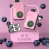 sp2snew4 SP2S 12000口 拋棄式電子煙主機 650mAh 電池容量 30mg 尼古丁鹽 支援 Type-C 快充