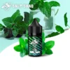 鯊克-煙油-薄荷 SALTSHAQ鯊克煙油 隨身小煙解癮神器 30ml極致爆爽涼感 40mg尼古丁鹽 台灣現貨秒發